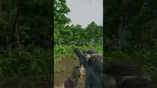 Banshee : Lamang Connection Gray Zone Tutorial 