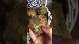 Шар флористический Часть 1 Мой опыт