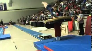 Sarah Vault Opt State
