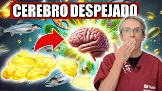 OMEGA-3 en tu CEREBRO un DESCUBRIMIENTO tentador