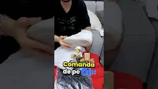 GEORGESCU COMANDA CELE MAI IEFTINE FAKE-uri DE LE OLX