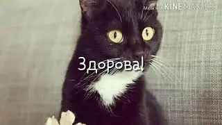 Тест на зрение. Размытые картинки андертейл.