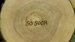 B.o.B - So Soon (Audio)
