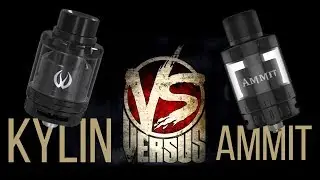 Kylin VS Ammit 25 | Обзор - сравнение