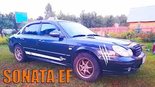 Hyundai Sonata EF (ТАГАЗ) : Едем на дачу. Апрель 2024
