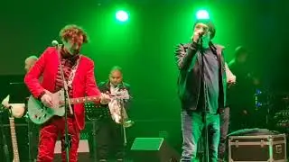Lipe cvatu, Live Koncert Bijelo Dugme, Frankfurt 30.04.2022