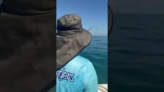 Stradic reel 
