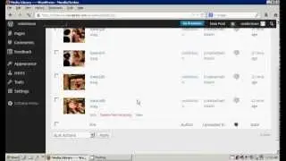 How to properly and permanently delete blog posts, pages, links and media in WordPress (empty trash)