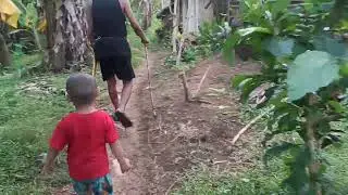 Masyadong Maaga Pa Kami Pupunta sa Kalabaw#bukid #provincelife #bukidlife #biliran