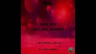 VYBZ KARTEL & SPICE - BACK WAY [HOT GIRL SUMMER] [DJ JUNKY REMIX]