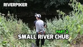 Small river chub (2 of 4) - (video 207)