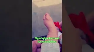 Niyyat qiling Alloh beradi