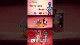 The Marvelous Journey of Blood: How Does the Heart Work? #cartoon #funfacts #humanbody