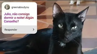 PERGUNTE AO JÚLIO - Respondendo as perguntas do Instagram.