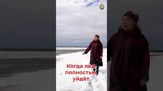 Скоро начнется ледоход #красноселькуп #красноселькупскийрайон #селькупы