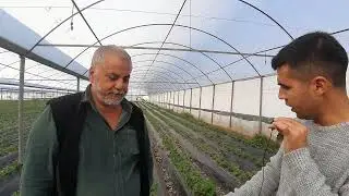 Türkiye'de Seracılık