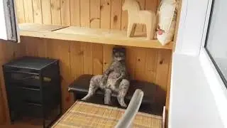 Ждём суши