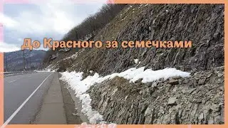 До Красного за семечками
