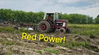 International 1086 gets a workout!