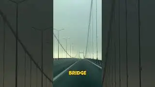 How Bridges Built (watch till the end)