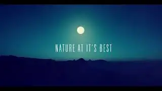 Nature at it's best#Twinmotion2021#3danimation#visualisation#