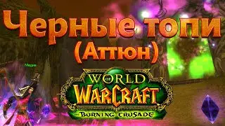Черные топи (аттюн). World of Warcraft: The Burning Crusade classic.