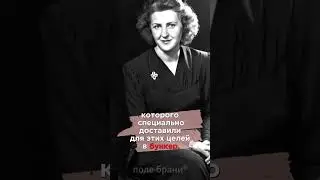 Что делал Гитлер в свои последние часы жизни? 
