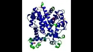 TetR D H-Bonds Simulation