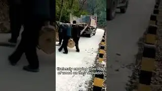Hardworking laborers carrying large wood