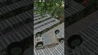 Такое никто не видел #7dtd