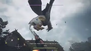 [Dragons Dogma 2] Gandalf rides his eagle
