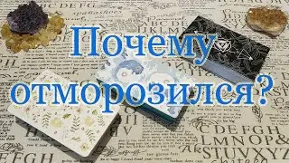 Почему отморозился? Что не так? Общий расклад.