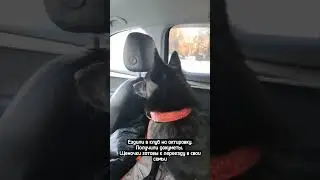 Небольшая зарисовочка первого выхода в свет 🤍