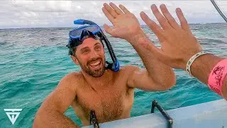 WILD ANIMAL Encounter in Xcalak | Bacalar, Mexico Travel Guide