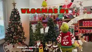VLOGMAS 1| stromček, Vianočne ozdoby,...