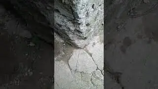 6 августа 2024 г.