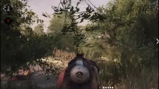 HUNT Showdown Funny Clips