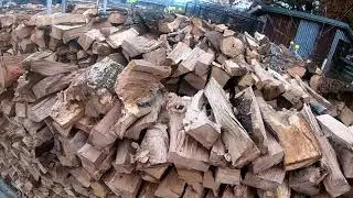 A tough oak for firewood