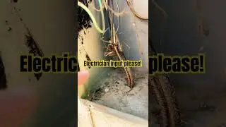 Electrician input please! #homeinspector #electricalwork