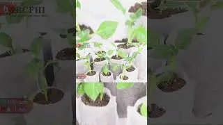 Биоразлагаемые пакеты для рассады 🇺🇦❤🇷🇺
