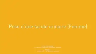 7  - Pose d'une sonde urinaire (femme)