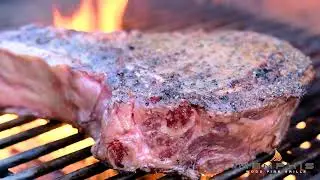 The ONLY PELLET GRILL designed with multiple levels of direct flame heat!