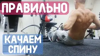 Как накачать спину? Новые упражнения!