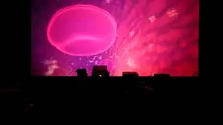 Inner Space Visitor 1/13/18