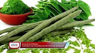 CONHEÇA VALORES NUTRITIVOS DE MORINGA