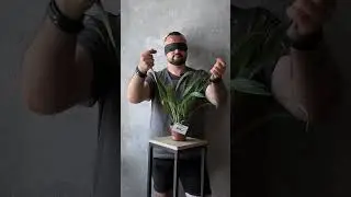 А ты угадаешь растение? #растенияказань  #комнатныерастения