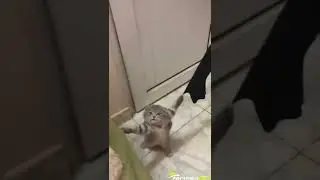 Nasıl o hale geldin sen