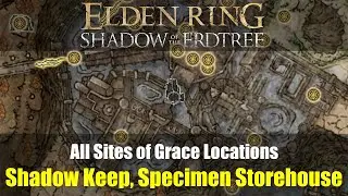 All Sites of Grace Locations: Shadow Keep, Specimen Storehouse (484-493) [Elden Ring DLC]