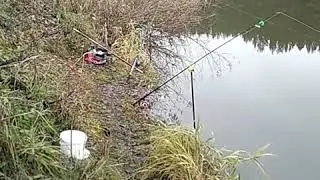 Рыбалка на фарфористе