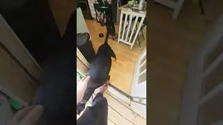 jett isnt as good at waiting 